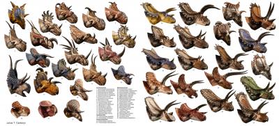 Csotonyi ceratopsians 1300