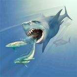 Megalodon pursuing two eobalaenoptera whales karen carr vmnh cc by 3 0 2 1